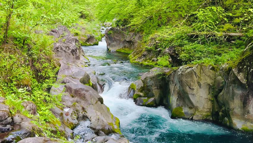 The clear stream of Kanmangafuchi in Nikko, Tochigi Prefecture, Japan