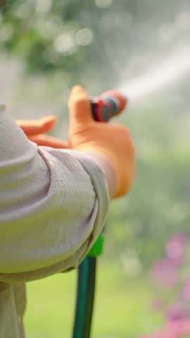 Gardening with Precision: A Close-Up of a Hand Holding a Hose Spraying Water, Showcasing the Art of Careful Irrigation in a Vibrant Outdoor Setting