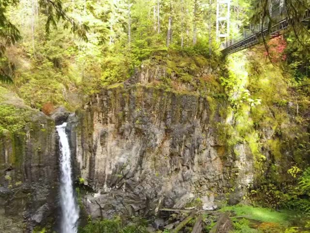 Beautiful water falls in forest.