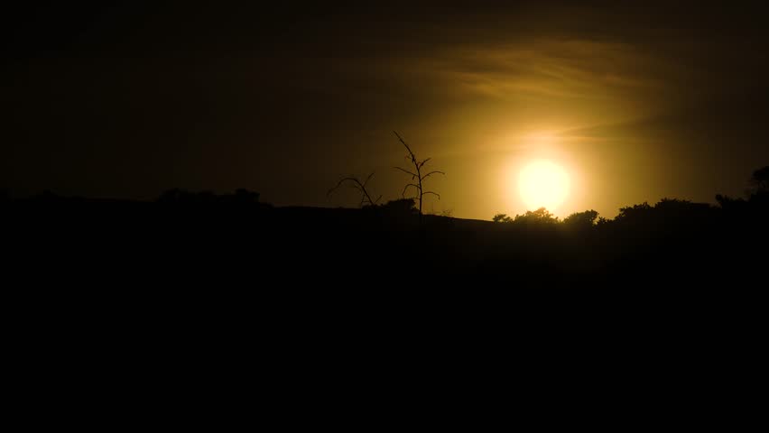 Dark sunset silhouette 4k scene