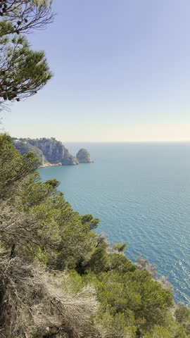 Cliff coastline with pine trees and turquoise Mediterranean sea, Costa Blanca Spain