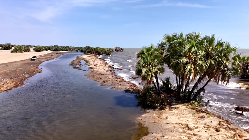 Drone flying over palm trees on a Turkana lake
