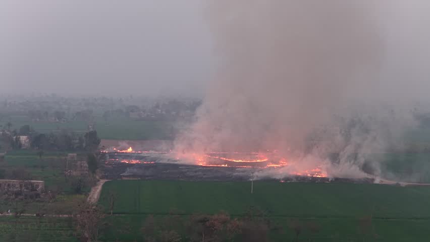 aerial drone footage of a Crop field burning with rising smoke plumes and spreading fire in a rural agricultural setting during a hazy day High quality drone 4k footage