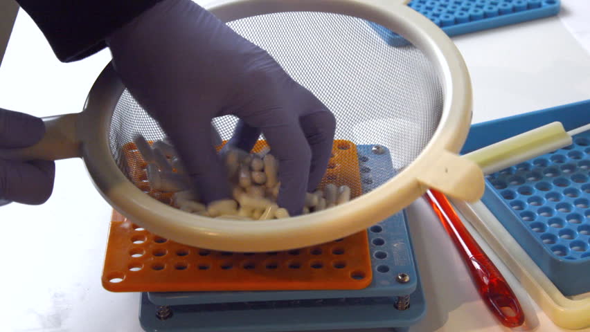 Pharmacist pouring gelatin capsules into a manual capsule-making machine for filling