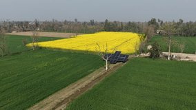 aerial drone footage of a Solar panels installed beside a bright yellow rapeseed field in rural countryside, promoting clean energy initiatives High quality drone 4k footage - Powered by Shutterstock - Get 15% off with code: PIKWIZARD15