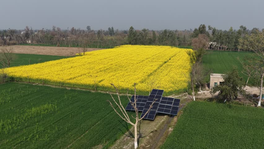 aerial drone footage of a Solar panels installed beside a bright yellow rapeseed field in rural countryside, promoting clean energy initiatives High quality drone 4k footage