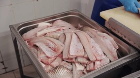 Fresh fish fillets in stainless steel tray for processing. - Powered by Shutterstock - Get 15% off with code: PIKWIZARD15