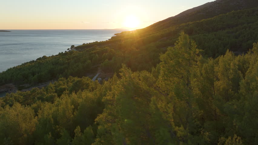AERIAL, LENS FLARE: Coastal hillside covered with pine forest bathes in warm, golden sunset light. Setting sun sits just above horizon where land meets the sea, creating a hazy, peaceful atmosphere.