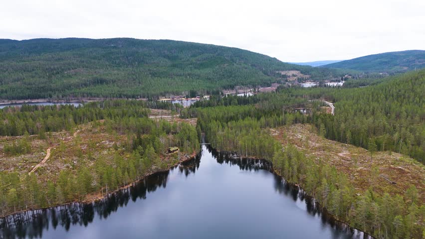 dense conifer forests winding lakes seen high altitude small cabin sits water edge norway aerials forest near drone view nordic landscape aerial