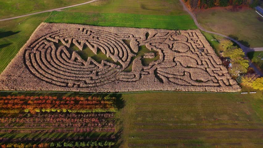 Intricate corn maze in Traverse City, Michigan, USA, celebrating harvest in aerial view