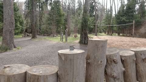 Lateral Drone Movement through Woodland Path