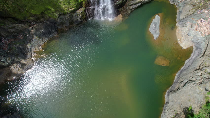 Rising top down drone shot of natural lake in jungle with waterfall at sunny day. Dense Rainforest with pond and crashing waterfall.