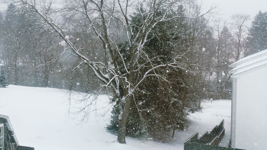 Backyard Tree and Heavy Snowfall in Maryland USA During Winter Season