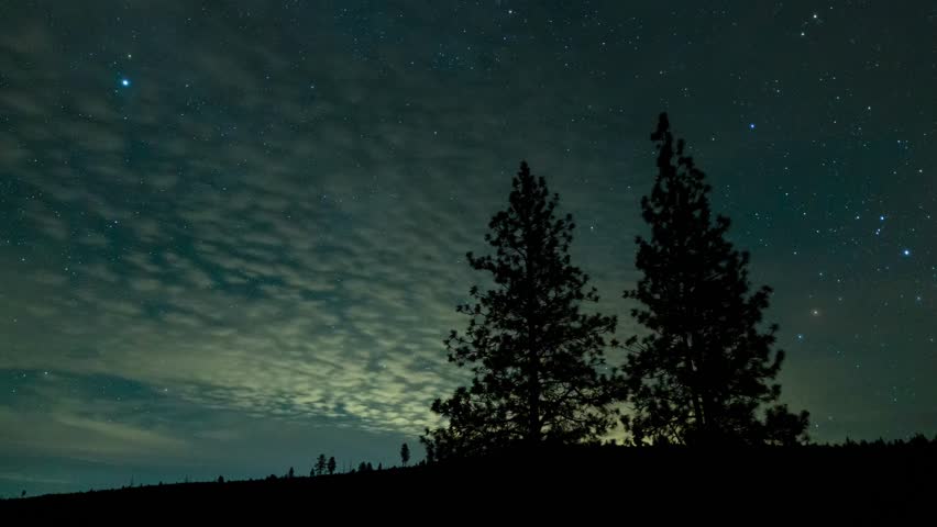 Two Ponderosas and the Milky Way