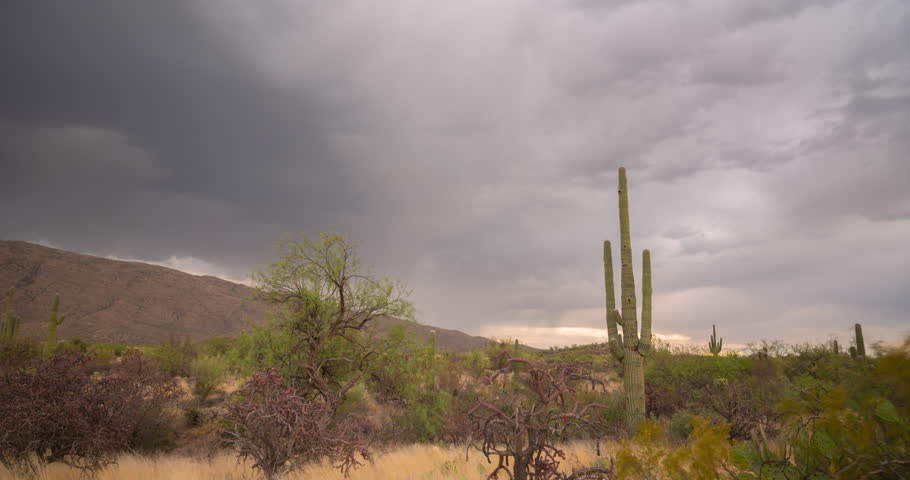Saguaro National Park, Tucson Arizona. Beautiful Timelapse with dramatic storm clouds at sunset