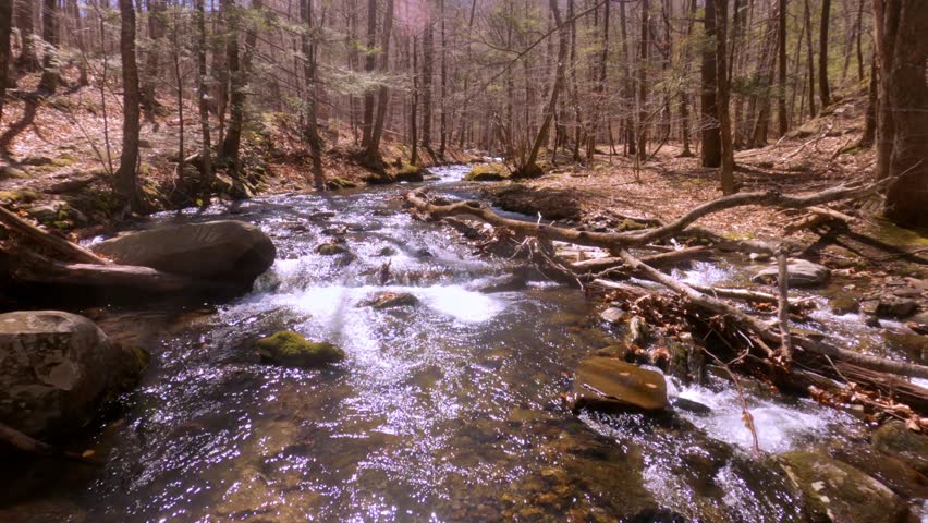 A beautiful, gentle mountain stream during early spring, after snow melt, in the Appalachian mountains. This is in the Catskill mountain sub-range in New York