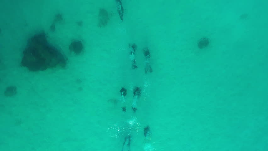 Group of divers swimming underwater in pristine blue ocean water, amazing diving adventure.