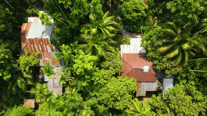 Houses In A Village Amidst Green Trees In The Forest - Aerial Top Down