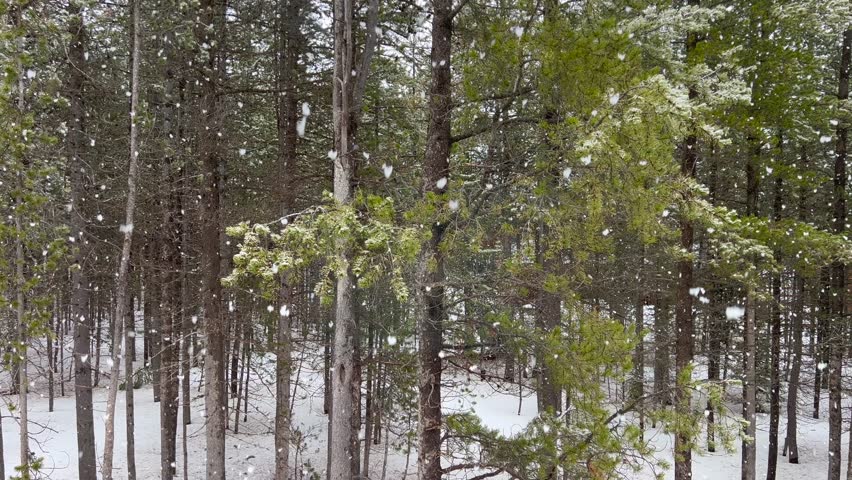 Slow motion snow fall looking out of a cabin window in the woods as large flakes gracefully make their ways to the ground