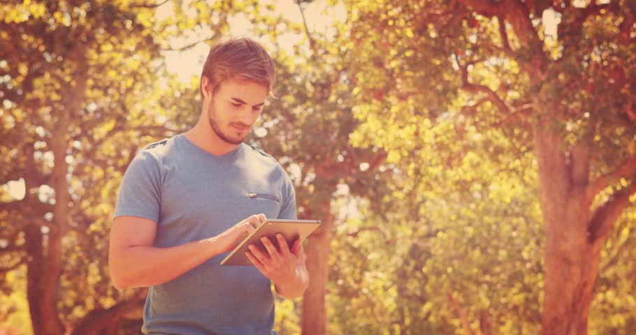 Man standing in sunlit park tapping tablet after envelope alert fading in, checking email, smiling. Device, notification, outdoor, nature, trees, adult, interaction