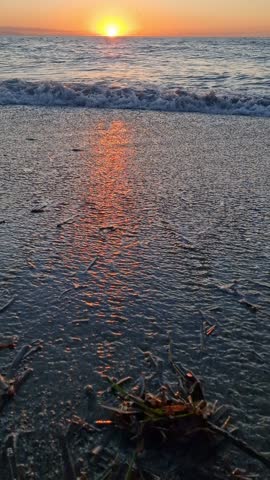 Picturesque view of evening sun at horizon reflecting in water and small waves washing sandy beach with sea weeds.