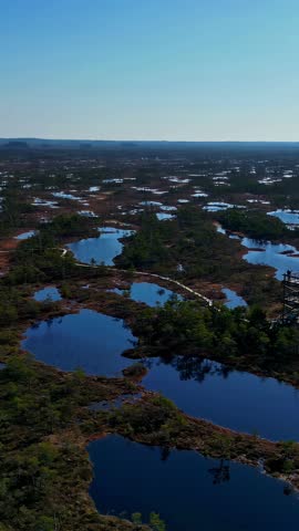 Aerial View, Scenic Boardwalk Winding Through Kemeri’s Marshy Terrain