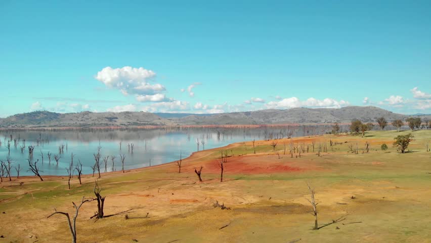 Aerial view over dead trees and dry nature, at Lake Hume, sunny day, in Victoria, Australia - dolly, drone shot