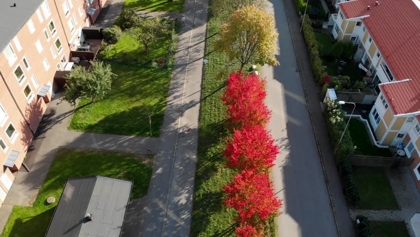Aerial of Lined up Trees with Red, Orange and Yellow Autumn Leaves Between Buildings