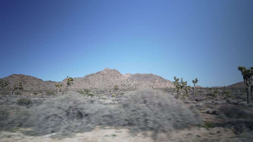 Journey through Joshua Tree National Park in California with views of the desert and unique trees while driving along the road.
