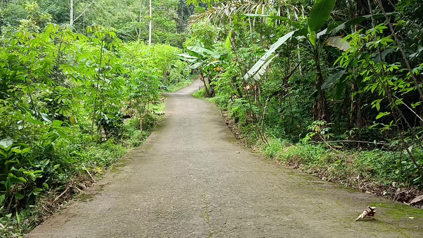 Scenic Mountain Road Winding Through Green Hills and Natural Highland Landscape