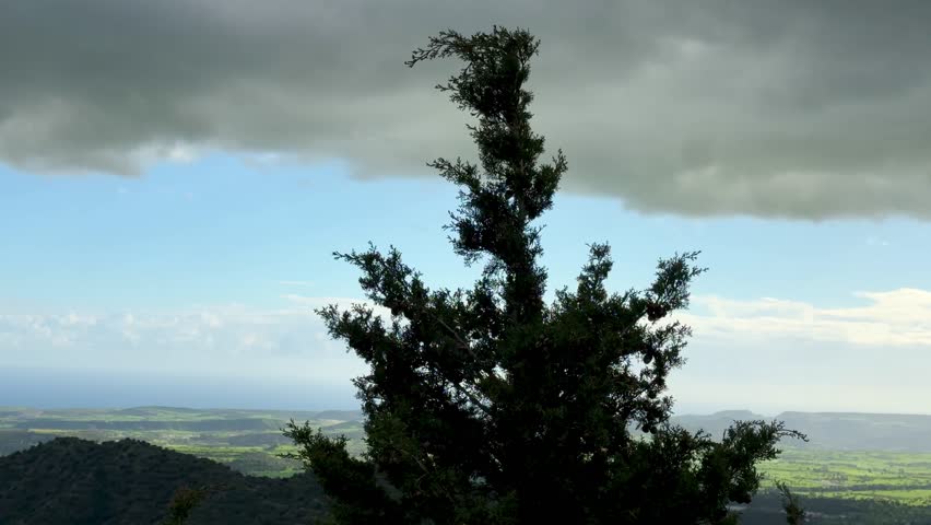 Scenic view of lush green landscape. Spring time, beautiful view of the mountainous area.