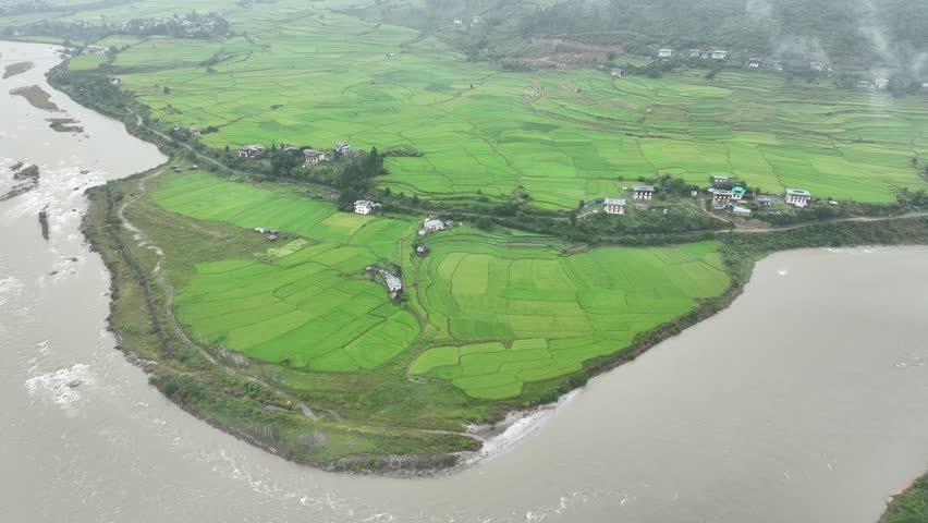 Aerial view of rice paddies, Bhutan.