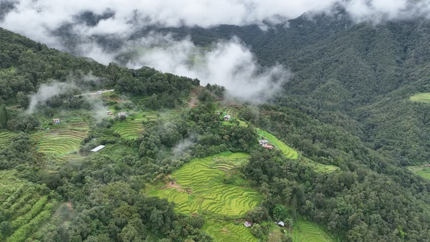 Aerial view of rice terraces and mountains, Bhutan.