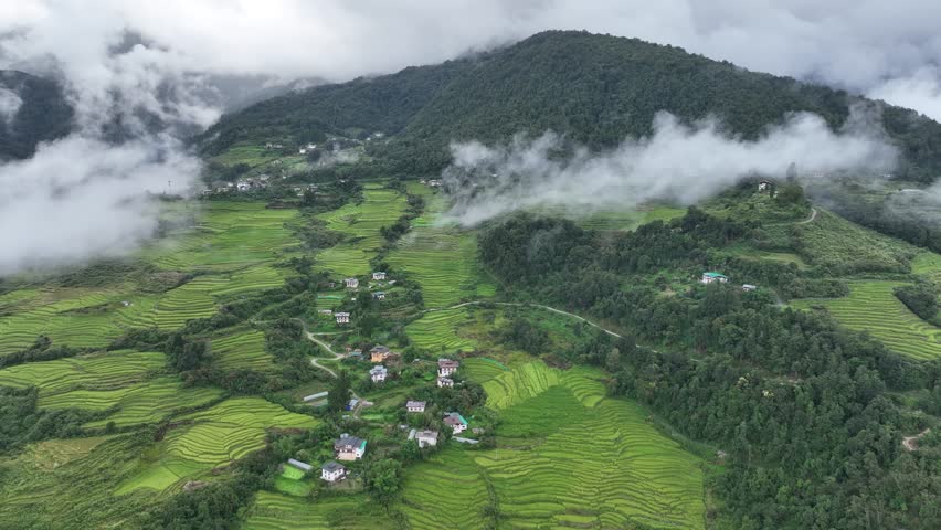 Aerial view of green terraced landscape, Bhutan.
