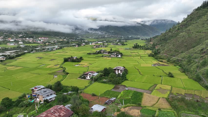 Aerial view of paddy fields and houses, Bhutan.