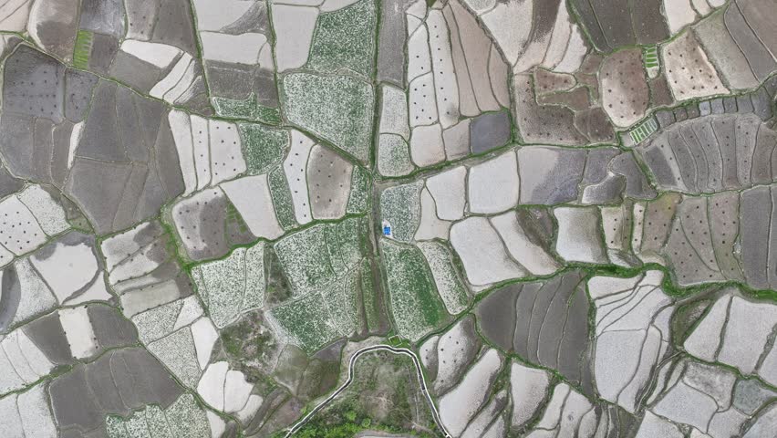 Aerial view of rice paddies near Kyichu Lhakhang, Bhutan.