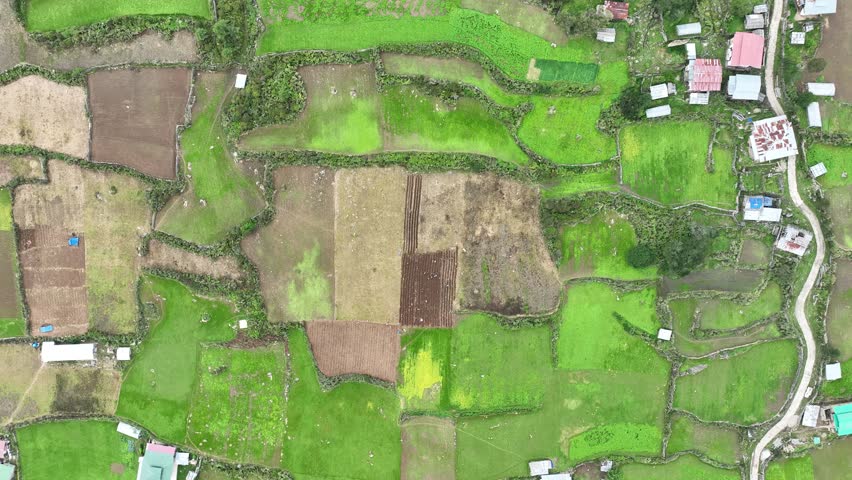 Aerial view of patterned fields in Phobjikha Valley, Bhutan.