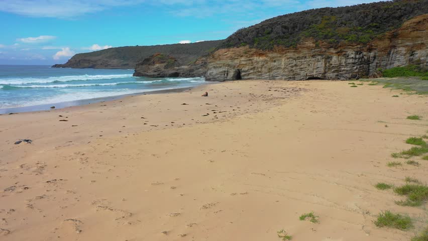 Young couple sitting on the sand at the popular Moonee Beach on the Mid North Coast of New South Wales, Australia. Aerial fly over