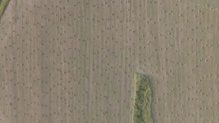 Rural landscape with hay bales in Georgian countryside