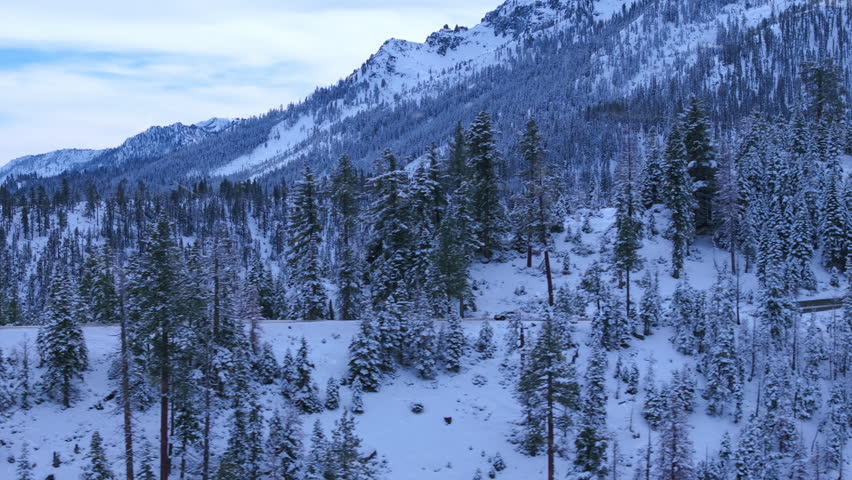 Aerial drone view of cars driving along Emerald Bay Road through snow covered forest as light snowfall drifts over alpine landscape. Winter mountain scene above Lake Tahoe. Emerald Bay, Lake Tahoe