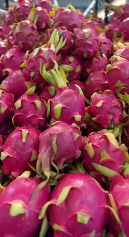 Fresh dragon fruit on display in a retail produce section. Tropical fruit with vibrant pink skin. 