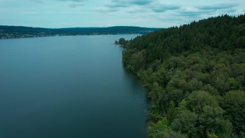 Drone moving forward over the pine forest coast of Lake Washington during morning with overcast sky with city view on opposite bank