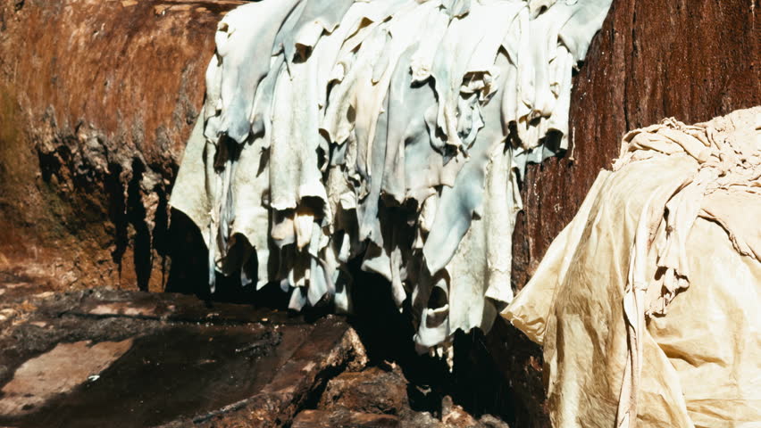 Man Completing The Production Of Leather In The Tannery