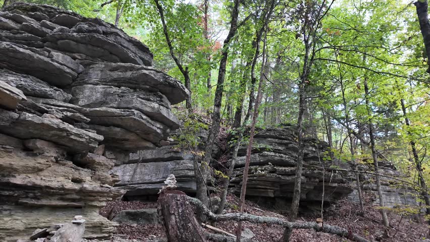 Towering stratified rock formation emerges from the forest floor.