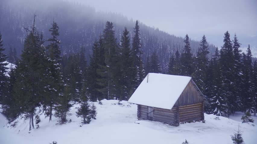 Lonely log cabin surrounded by pine trees with mountain hill in the background.
