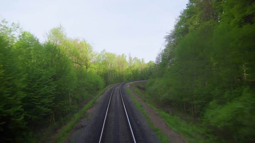 Train moving on tracks through dense green forest 