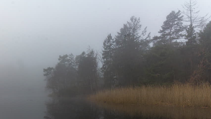 Time lapse of mist moving over river with reeds near the shore line