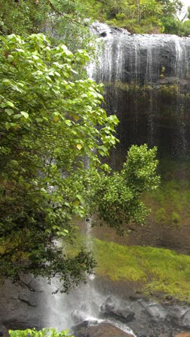 A static wide shot captures water falling over a rocky ledge into a tropical pool
