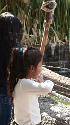 Latina girls watching the animals at the zoo.