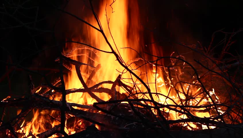 Bonfire at night | Shutterstock HD Video #4014292